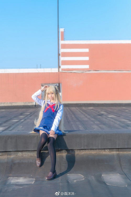 淘汰鸡多少钱一斤？